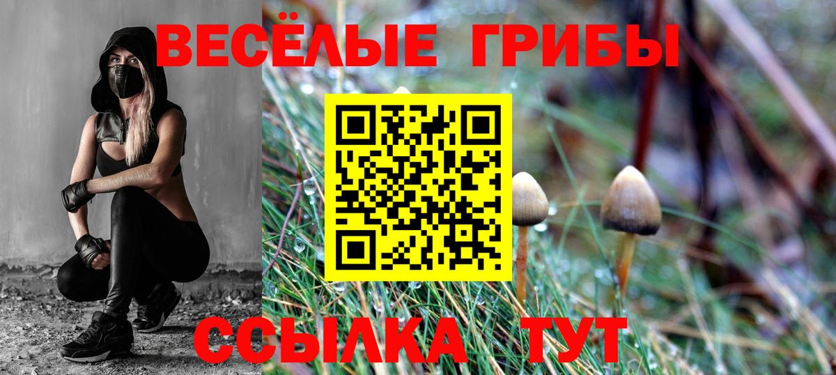 Дзержинский  продажа наркотиков  Вход с VPN  Псилоцибиновые грибы GOLDEN TEACHER 