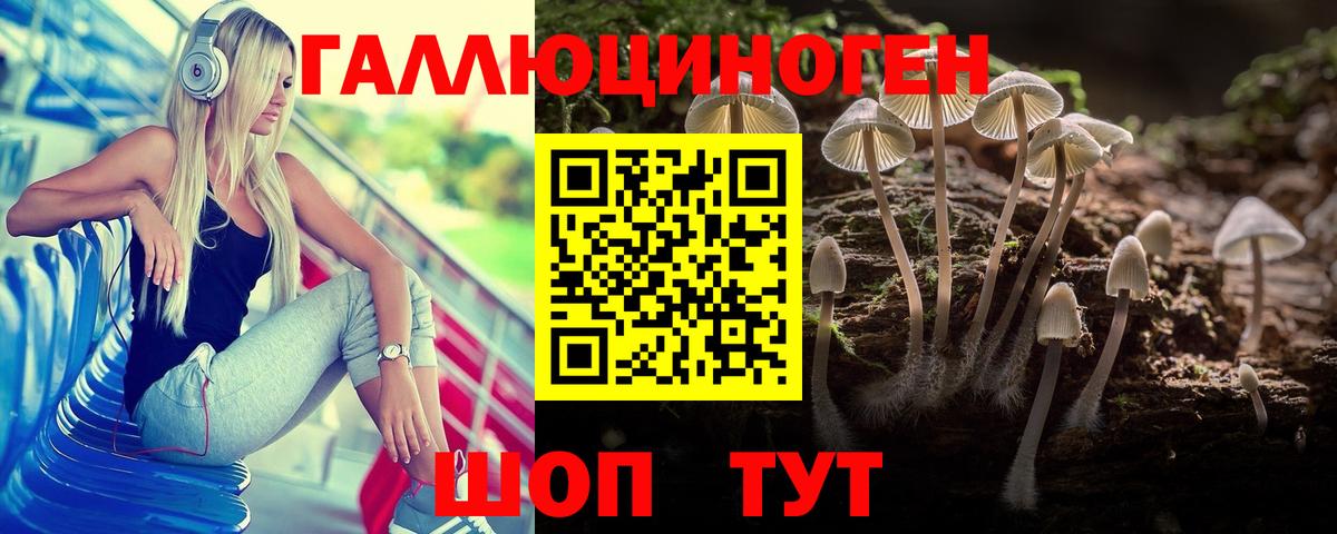 Галлюциногенные грибы Psilocybe Дзержинский